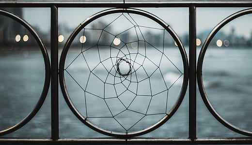Closeup Photo of Black Wrought Iron Frame Near Body of Water thumbnail