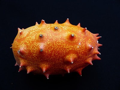 selective focus photography of orange fruit thumbnail