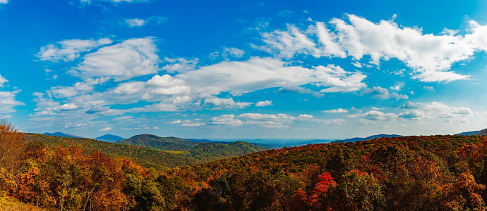 red tree covered mountain during daytime photo thumbnail