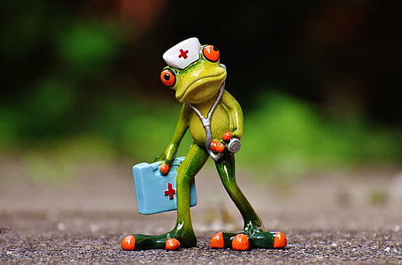 shallow focus photography of red eyed frog ceramic figure thumbnail