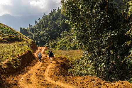 man walking on brown pathway between trees thumbnail