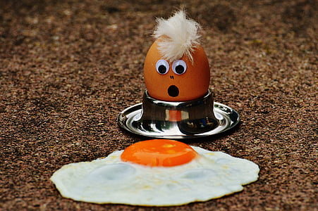 brown egg on stainless steel rack thumbnail