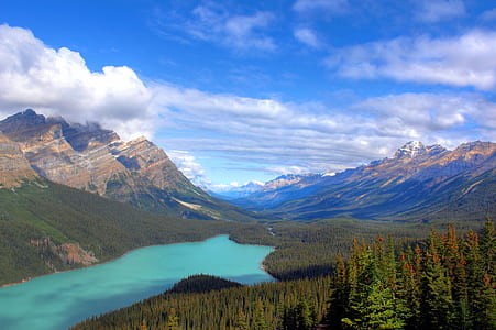 body of water near green trees thumbnail