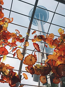 yellow and red flowers under a clear glass ceiling thumbnail