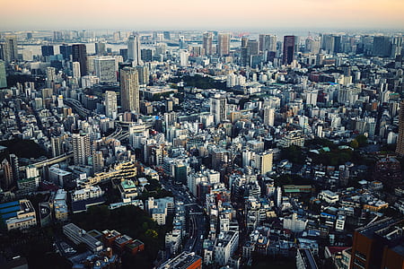 aerial photo of city at daytime thumbnail