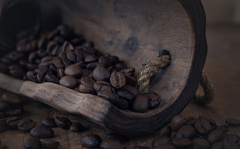 coffee bean thumbnail