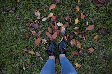 Person in Patent Black Low-top Shoes Standing Above Green Grass thumbnail
