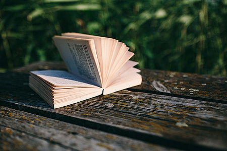 Reading book at lake thumbnail