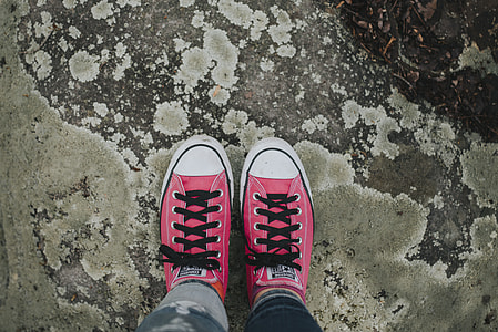 person wearing pair of white-and-pink Converse All-Star low-tops thumbnail