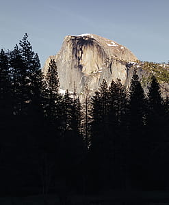 Mountain Peak Through Trees Photo thumbnail