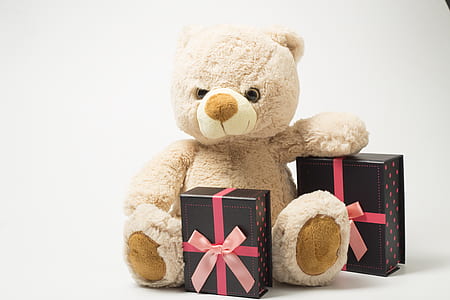 brown bear plush toy on beige surface thumbnail