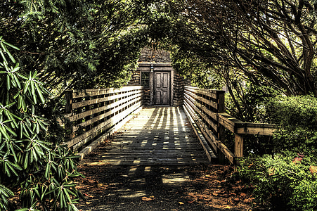 brown wooden pathway with rail between plants during daytime thumbnail