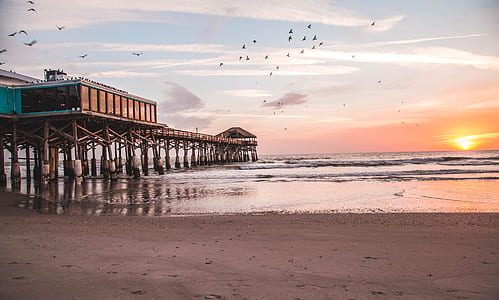 wide angle photo of brown wooden cottage during sunset thumbnail