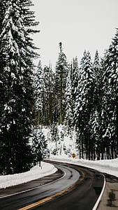 asphalt road between snow covered trees under cloudy sky thumbnail