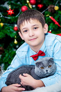 boy wearing blue shirt holding gray cat thumbnail