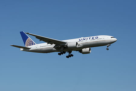 flight, sky, flying, airport thumbnail