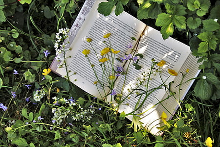 opened book page on green plant thumbnail