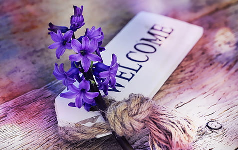 purple flowers with Welcome signage thumbnail