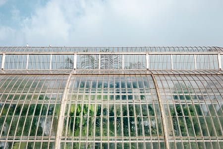 reflection of trees on glass roof thumbnail