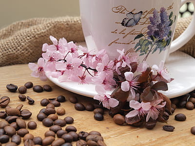 pink flowers near the coffee beans thumbnail