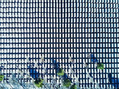 building, plant, architecture, wall thumbnail