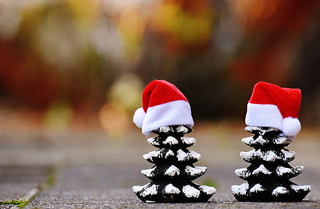 two pine cones wearing Santa Claus hats thumbnail