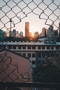 gray metal chain-link fence with high-rise building view during sunset thumbnail
