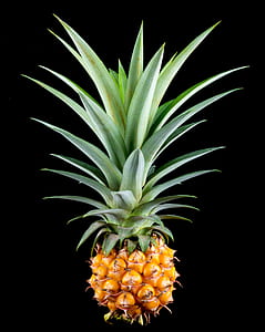 pineapple fruit thumbnail