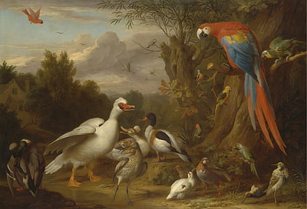 assorted-color birds painting thumbnail