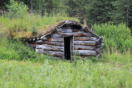 log cabin near grass thumbnail