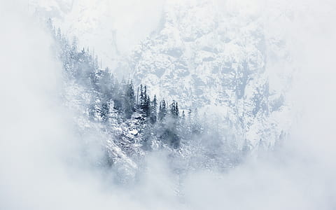 aerial photograph of mountain range with pine trees covered with snow thumbnail