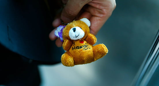 person holding orange bear plus toy thumbnail