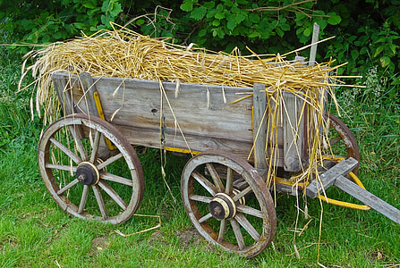 photo of brown wagon filled with hey thumbnail