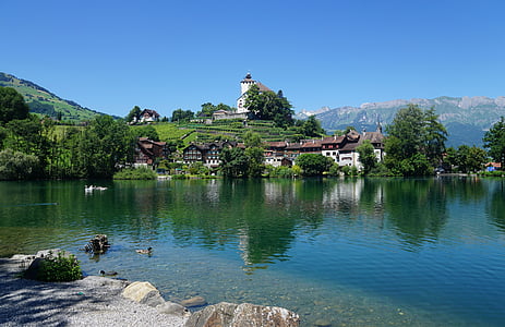 body of water near green trees thumbnail