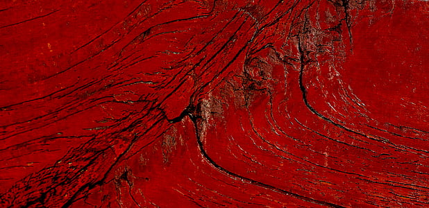 timber, wood, texture, photographic background, color, log thumbnail