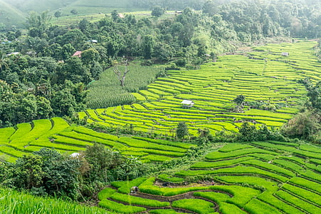aerial photography of Rice Terraces thumbnail