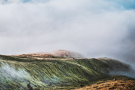 Green Hills Covered With Fog thumbnail