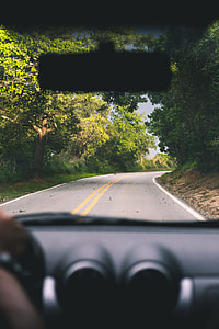 concrete road surrounded with tree thumbnail