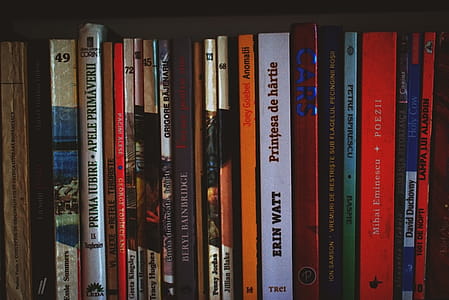 Assorted-title Books on Shelf thumbnail