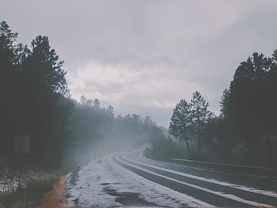 green trees near concrete road thumbnail