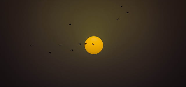Full Moon Photography thumbnail