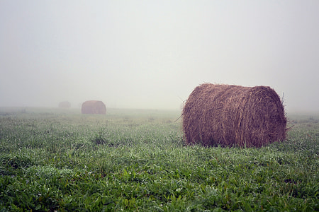 brown hay roll thumbnail