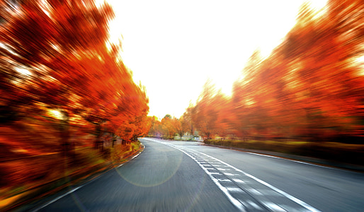 long exposure photo of vehicle on road in between red leaf trees thumbnail