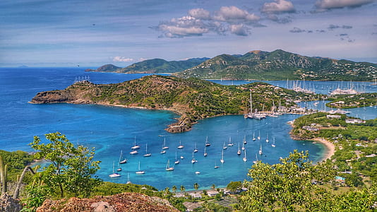 white sailboat on body of water thumbnail