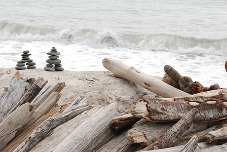 driftwood beside body of water thumbnail
