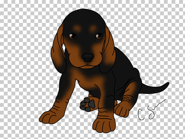 Dog Breed Black And Tan Coonhound Puppy Dachshund Bluetick