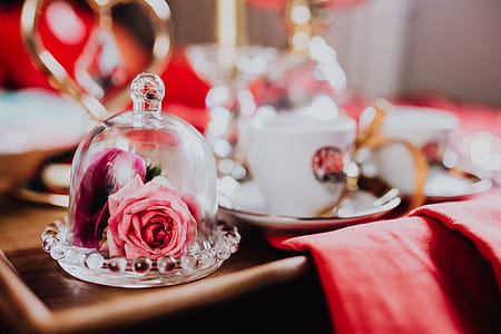 Valentine's Day Breakfast in Bed thumbnail