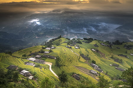 bird's-eye view of rice terraces thumbnail