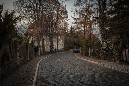 black vehicle on road in between bare trees during daytime thumbnail