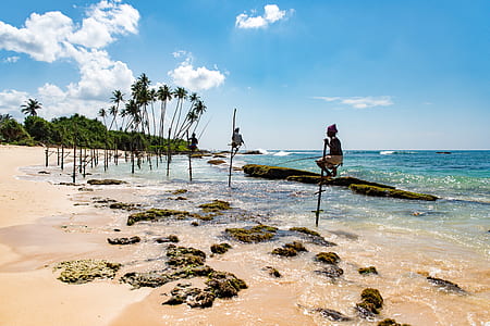 person climbing on branch above body of water thumbnail
